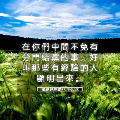 Picture 05 - 歌 林 多 前 書 11:19 CUVT - 在 你 們 中 間 不 免 有 分 門 結 黨 - Bible Verse Picture