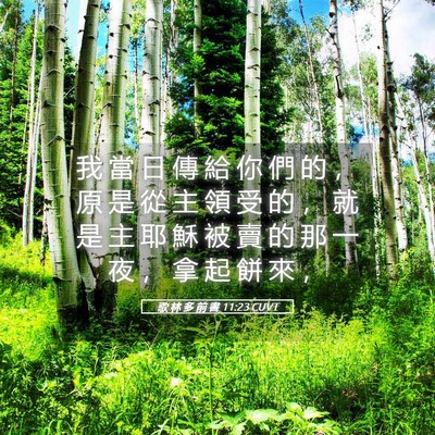 Picture 05 - 歌 林 多 前 書 11:23 CUVT - 我 當 日 傳 給 你 們 的 ， 原 是 從 - Bible Verse Picture