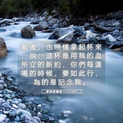Picture 05 - 歌 林 多 前 書 11:25 CUVT - 飯 後 ， 也 照 樣 拿 起 杯 來 ， 說 - Bible Verse Picture