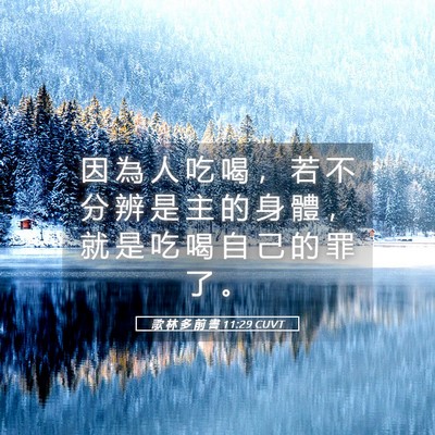 Picture 05 - 歌 林 多 前 書 11:29 CUVT - 因 為 人 吃 喝 ， 若 不 分 辨 是 主 - Bible Verse Picture