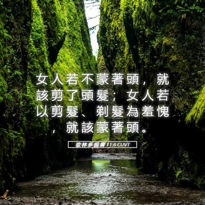 Picture 05 - 歌 林 多 前 書 11:6 CUVT - 女 人 若 不 蒙 著 頭 ， 就 該 剪 了 - Bible Verse Picture