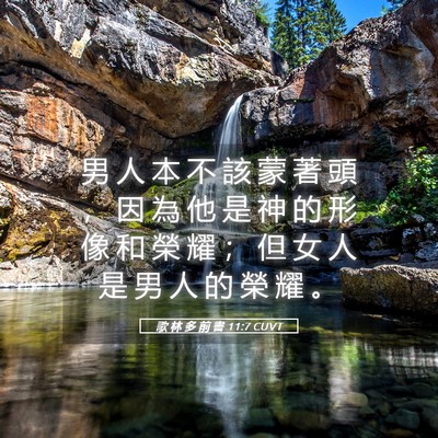 Picture 05 - 歌 林 多 前 書 11:7 CUVT - 男 人 本 不 該 蒙 著 頭 ， 因 為 他 - Bible Verse Picture