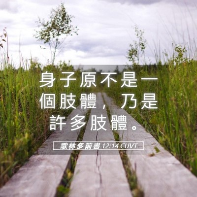 Picture 05 - 歌 林 多 前 書 12:14 CUVT - 身 子 原 不 是 一 個 肢 體 ， 乃 是 - Bible Verse Picture