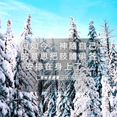Picture 05 - 歌 林 多 前 書 12:18 CUVT - 但 如 今 ， 神 隨 自 己 的 意 思 把 - Bible Verse Picture