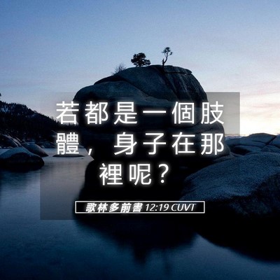 Picture 05 - 歌 林 多 前 書 12:19 CUVT - 若 都 是 一 個 肢 體 ， 身 子 在 那 - Bible Verse Picture