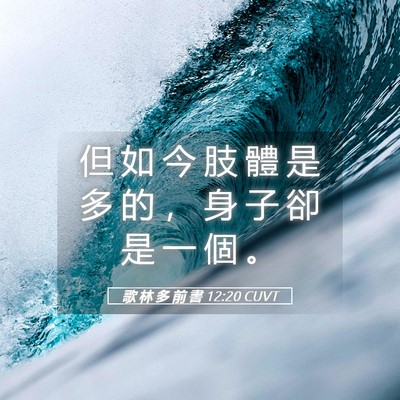 Picture 05 - 歌 林 多 前 書 12:20 CUVT - 但 如 今 肢 體 是 多 的 ， 身 子 卻 - Bible Verse Picture