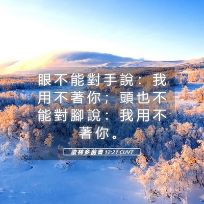 Picture 05 - 歌 林 多 前 書 12:21 CUVT - 眼 不 能 對 手 說 ： 我 用 不 著 你 - Bible Verse Picture