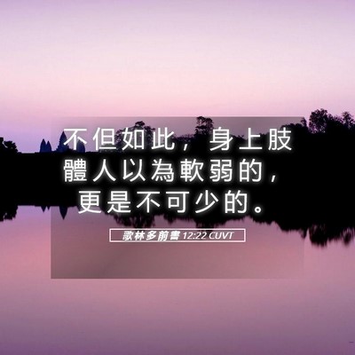Picture 05 - 歌 林 多 前 書 12:22 CUVT - 不 但 如 此 ， 身 上 肢 體 人 以 為 - Bible Verse Picture