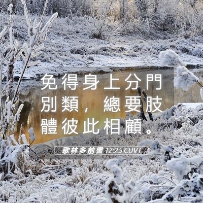 Picture 05 - 歌 林 多 前 書 12:25 CUVT - 免 得 身 上 分 門 別 類 ， 總 要 肢 - Bible Verse Picture