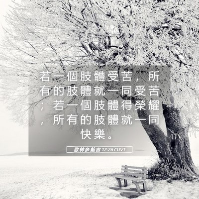 Picture 05 - 歌 林 多 前 書 12:26 CUVT - 若 一 個 肢 體 受 苦 ， 所 有 的 肢 - Bible Verse Picture
