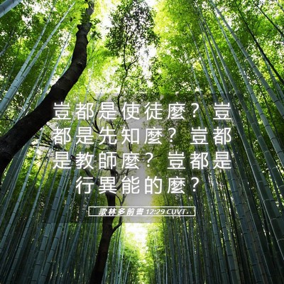 Picture 05 - 歌 林 多 前 書 12:29 CUVT - 豈 都 是 使 徒 麼 ？ 豈 都 是 先 知 - Bible Verse Picture