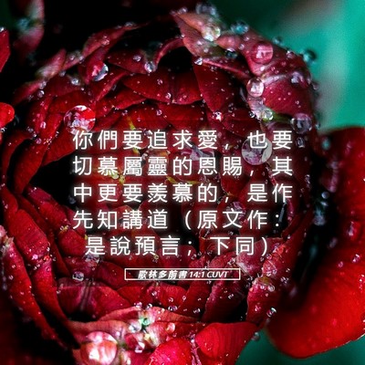 Picture 05 - 歌 林 多 前 書 14:1 CUVT - 你 們 要 追 求 愛 ， 也 要 切 慕 屬 - Bible Verse Picture