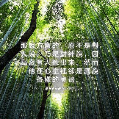 Picture 05 - 歌 林 多 前 書 14:2 CUVT - 那 說 方 言 的 ， 原 不 是 對 人 說 - Bible Verse Picture