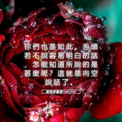Picture 05 - 歌 林 多 前 書 14:9 CUVT - 你 們 也 是 如 此 。 舌 頭 若 不 說 - Bible Verse Picture