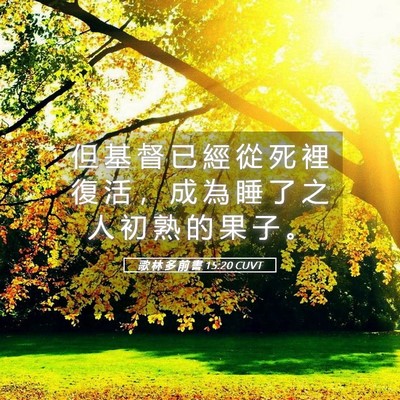 Picture 05 - 歌 林 多 前 書 15:20 CUVT - 但 基 督 已 經 從 死 裡 復 活 ， 成 - Bible Verse Picture