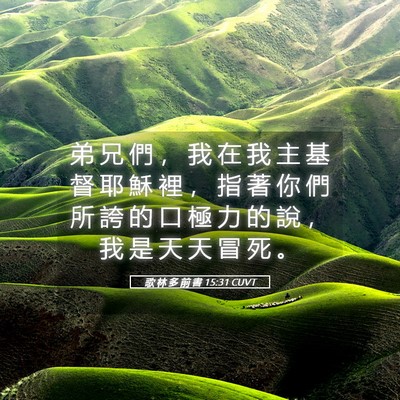 Picture 05 - 歌 林 多 前 書 15:31 CUVT - 弟 兄 們 ， 我 在 我 主 基 督 耶 穌 - Bible Verse Picture