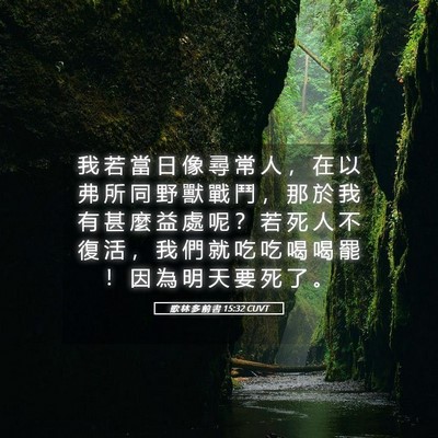 Picture 05 - 歌 林 多 前 書 15:32 CUVT - 我 若 當 日 像 尋 常 人 ， 在 以 弗 - Bible Verse Picture