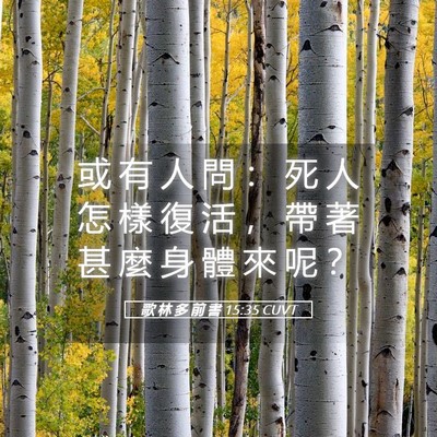 Picture 05 - 歌 林 多 前 書 15:35 CUVT - 或 有 人 問 ： 死 人 怎 樣 復 活 ， - Bible Verse Picture