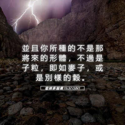 Picture 05 - 歌 林 多 前 書 15:37 CUVT - 並 且 你 所 種 的 不 是 那 將 來 的 - Bible Verse Picture