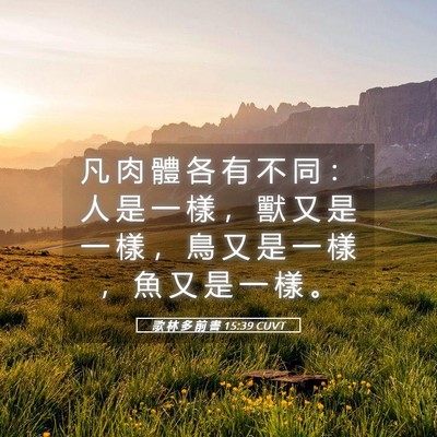 Picture 05 - 歌 林 多 前 書 15:39 CUVT - 凡 肉 體 各 有 不 同 ： 人 是 一 樣 - Bible Verse Picture