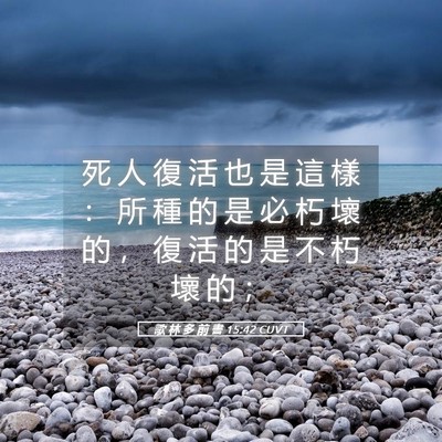 Picture 05 - 歌 林 多 前 書 15:42 CUVT - 死 人 復 活 也 是 這 樣 ： 所 種 的 - Bible Verse Picture