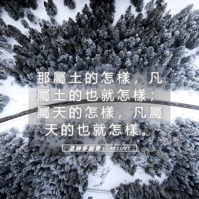 Picture 05 - 歌 林 多 前 書 15:48 CUVT - 那 屬 土 的 怎 樣 ， 凡 屬 土 的 也 - Bible Verse Picture