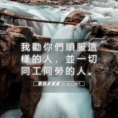 Picture 05 - 歌 林 多 前 書 16:16 CUVT - 我 勸 你 們 順 服 這 樣 的 人 ， 並 - Bible Verse Picture