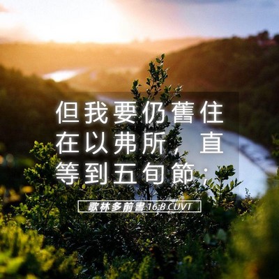 Picture 05 - 歌 林 多 前 書 16:8 CUVT - 但 我 要 仍 舊 住 在 以 弗 所 ， 直 - Bible Verse Picture