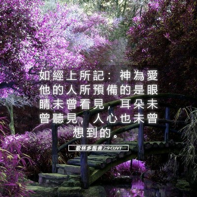 Picture 05 - 歌 林 多 前 書 2:9 CUVT - 如 經 上 所 記 ： 神 為 愛 他 的 人 - Bible Verse Picture