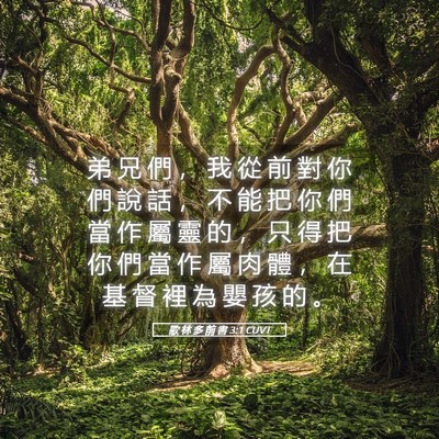 Picture 05 - 歌 林 多 前 書 3:1 CUVT - 弟 兄 們 ， 我 從 前 對 你 們 說 話 - Bible Verse Picture