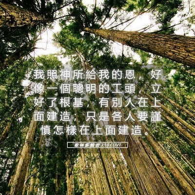 Picture 05 - 歌 林 多 前 書 3:10 CUVT - 我 照 神 所 給 我 的 恩 ， 好 像 一 - Bible Verse Picture
