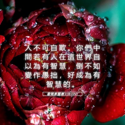 Picture 05 - 歌 林 多 前 書 3:18 CUVT - 人 不 可 自 欺 。 你 們 中 間 若 有 - Bible Verse Picture