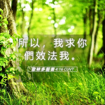 Picture 05 - 歌 林 多 前 書 4:16 CUVT - 所 以 ， 我 求 你 們 效 法 我 - Bible Verse Picture