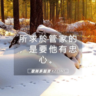 Picture 05 - 歌 林 多 前 書 4:2 CUVT - 所 求 於 管 家 的 ， 是 要 他 有 忠 - Bible Verse Picture