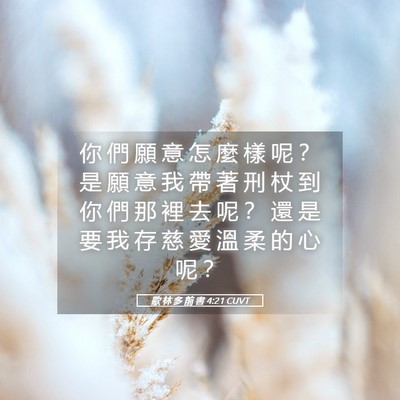 Picture 05 - 歌 林 多 前 書 4:21 CUVT - 你 們 願 意 怎 麼 樣 呢 ？ 是 願 意 - Bible Verse Picture