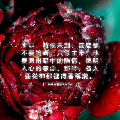 Picture 05 - 歌 林 多 前 書 4:5 CUVT - 所 以 ， 時 候 未 到 ， 甚 麼 都 不 - Bible Verse Picture