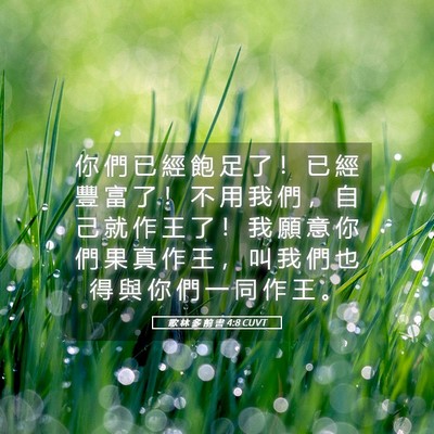 Picture 05 - 歌 林 多 前 書 4:8 CUVT - 你 們 已 經 飽 足 了 ！ 已 經 豐 富 - Bible Verse Picture