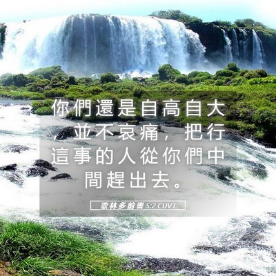 Picture 05 - 歌 林 多 前 書 5:2 CUVT - 你 們 還 是 自 高 自 大 ， 並 不 哀 - Bible Verse Picture