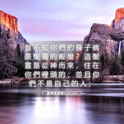 Picture 05 - 歌 林 多 前 書 6:19 CUVT - 豈 不 知 你 們 的 身 子 就 是 聖 靈 - Bible Verse Picture