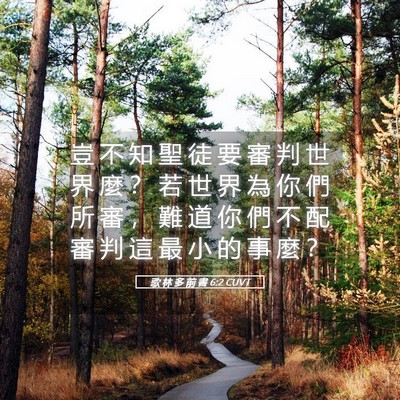 Picture 05 - 歌 林 多 前 書 6:2 CUVT - 豈 不 知 聖 徒 要 審 判 世 界 麼 ？ - Bible Verse Picture