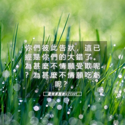Picture 05 - 歌 林 多 前 書 6:7 CUVT - 你 們 彼 此 告 狀 ， 這 已 經 是 你 - Bible Verse Picture