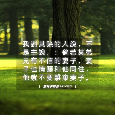 Picture 05 - 歌 林 多 前 書 7:12 CUVT - 我 對 其 餘 的 人 說 ， 不 是 主 說 - Bible Verse Picture