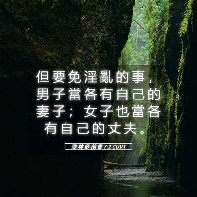 Picture 05 - 歌 林 多 前 書 7:2 CUVT - 但 要 免 淫 亂 的 事 ， 男 子 當 各 - Bible Verse Picture