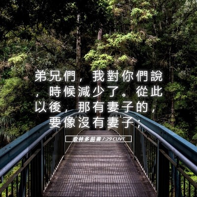 Picture 05 - 歌 林 多 前 書 7:29 CUVT - 弟 兄 們 ， 我 對 你 們 說 ， 時 候 - Bible Verse Picture