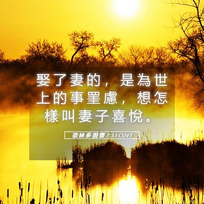 Picture 05 - 歌 林 多 前 書 7:33 CUVT - 娶 了 妻 的 ， 是 為 世 上 的 事 罣 - Bible Verse Picture