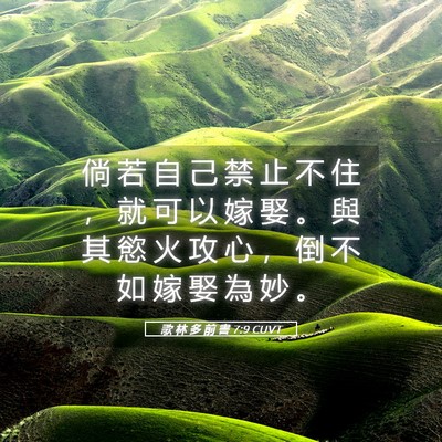 Picture 05 - 歌 林 多 前 書 7:9 CUVT - 倘 若 自 己 禁 止 不 住 ， 就 可 以 - Bible Verse Picture