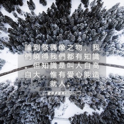 Picture 05 - 歌 林 多 前 書 8:1 CUVT - 論 到 祭 偶 像 之 物 ， 我 們 曉 得 - Bible Verse Picture
