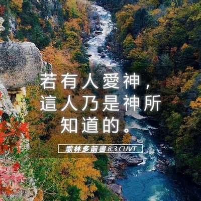Picture 05 - 歌 林 多 前 書 8:3 CUVT - 若 有 人 愛 神 ， 這 人 乃 是 神 所 - Bible Verse Picture