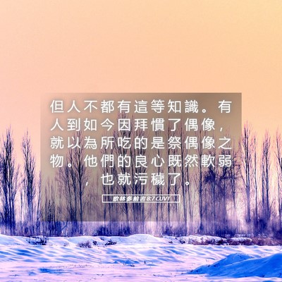 Picture 05 - 歌 林 多 前 書 8:7 CUVT - 但 人 不 都 有 這 等 知 識 。 有 人 - Bible Verse Picture