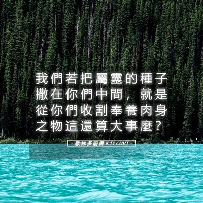 Picture 05 - 歌 林 多 前 書 9:11 CUVT - 我 們 若 把 屬 靈 的 種 子 撒 在 你 - Bible Verse Picture